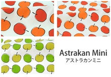 アルビッドソンズ アストラカン ミニ柄